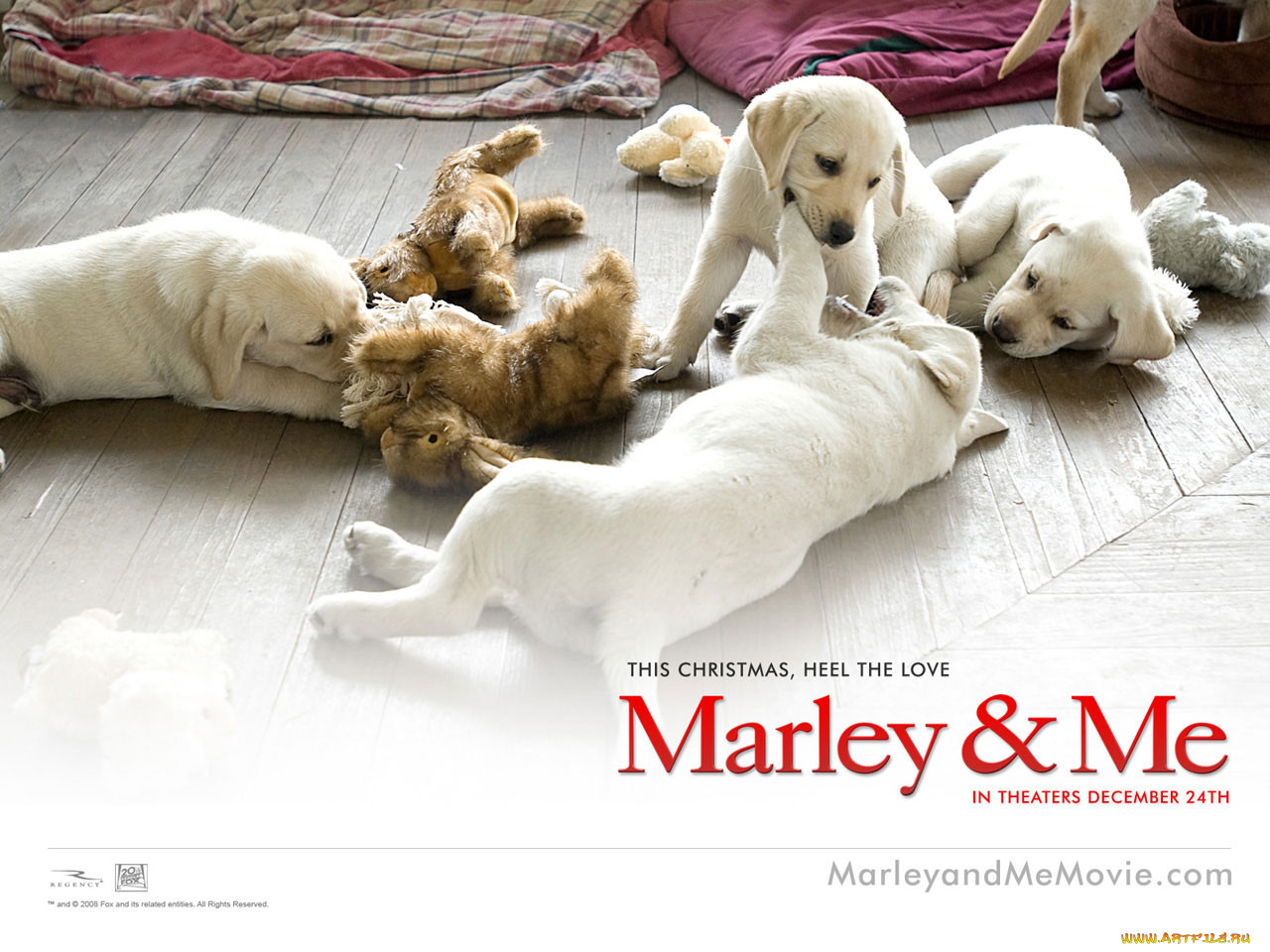 marley, me, , 